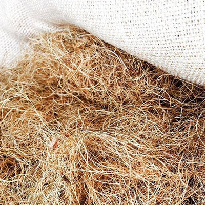 Ginger Coir Fibre